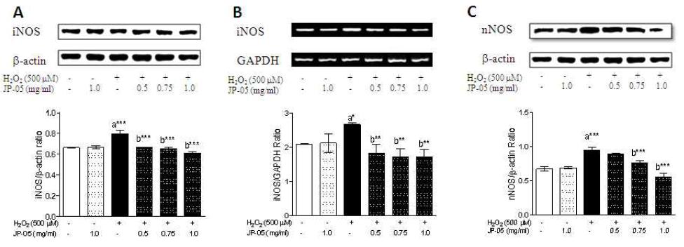 N2a cells were pretreated with mBHT (0.5, 0.75 or 1.0 ㎎/㎖) and/or 1h H2O2 (500 mM) -induction and assessed for Western blot (A), NF-kB expression in nuclear of the cells (B), histogram of three independent experiments.