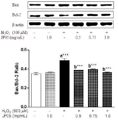 Effects of mBHT on H2O2-induced Bax and Bcl-2 expressions.