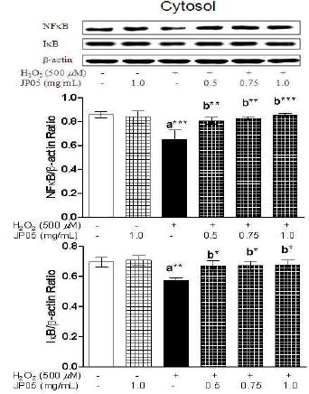 Effects of mBHT on H2O2-induced NFkB-IkBa signaling pathway.