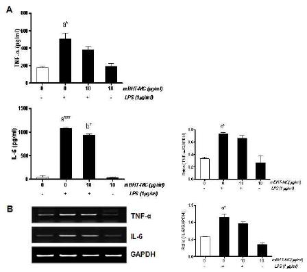 Effect of mBHT-MC on pro-inflammatory cytokine productions in LPS-stimulated microglia.