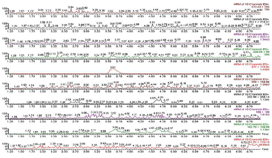 기질 약물을 넣지 않은 blank 시료의 전처리 후 MRM chromatogram.