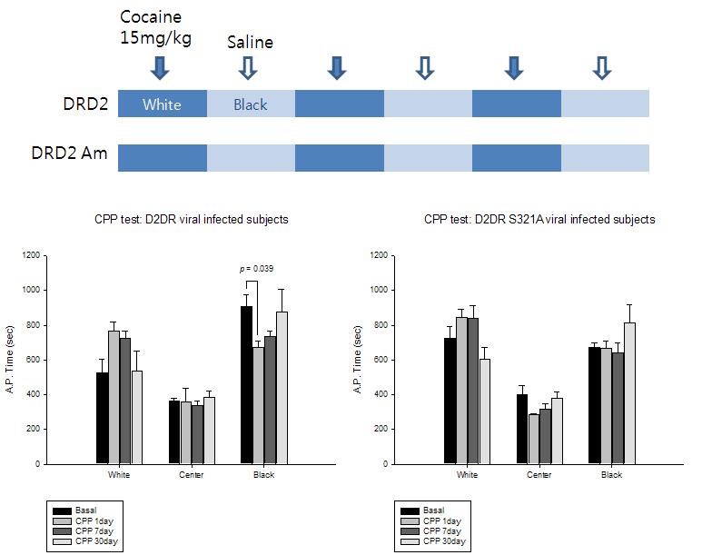 Cocaine Place preference 실험