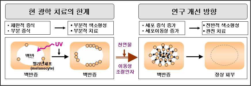 연구 추진 방향