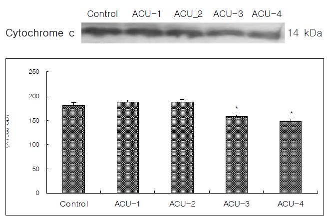 Effect of acupuncture by needle manipulation at the LR1·HT9, KI10·HT3 on the intensity of Cytochrome c in the hippocampal CA1.