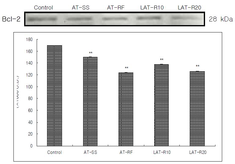 Effect of traditional and laser acupuncture treatment at the KI10·HT3 on the intensity of Bcl-2 mRNA in the hippocampal CA1.