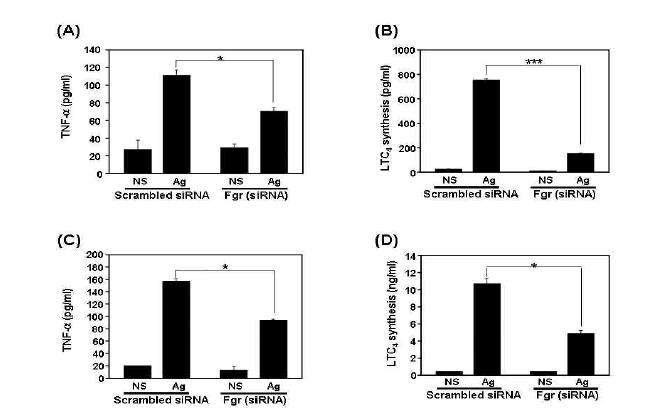 Suppression of Fgr kinase with siRNA impairs secretion of TNF-α and LTC4 in RBL-2H3(A,B), BMMC(C,D)