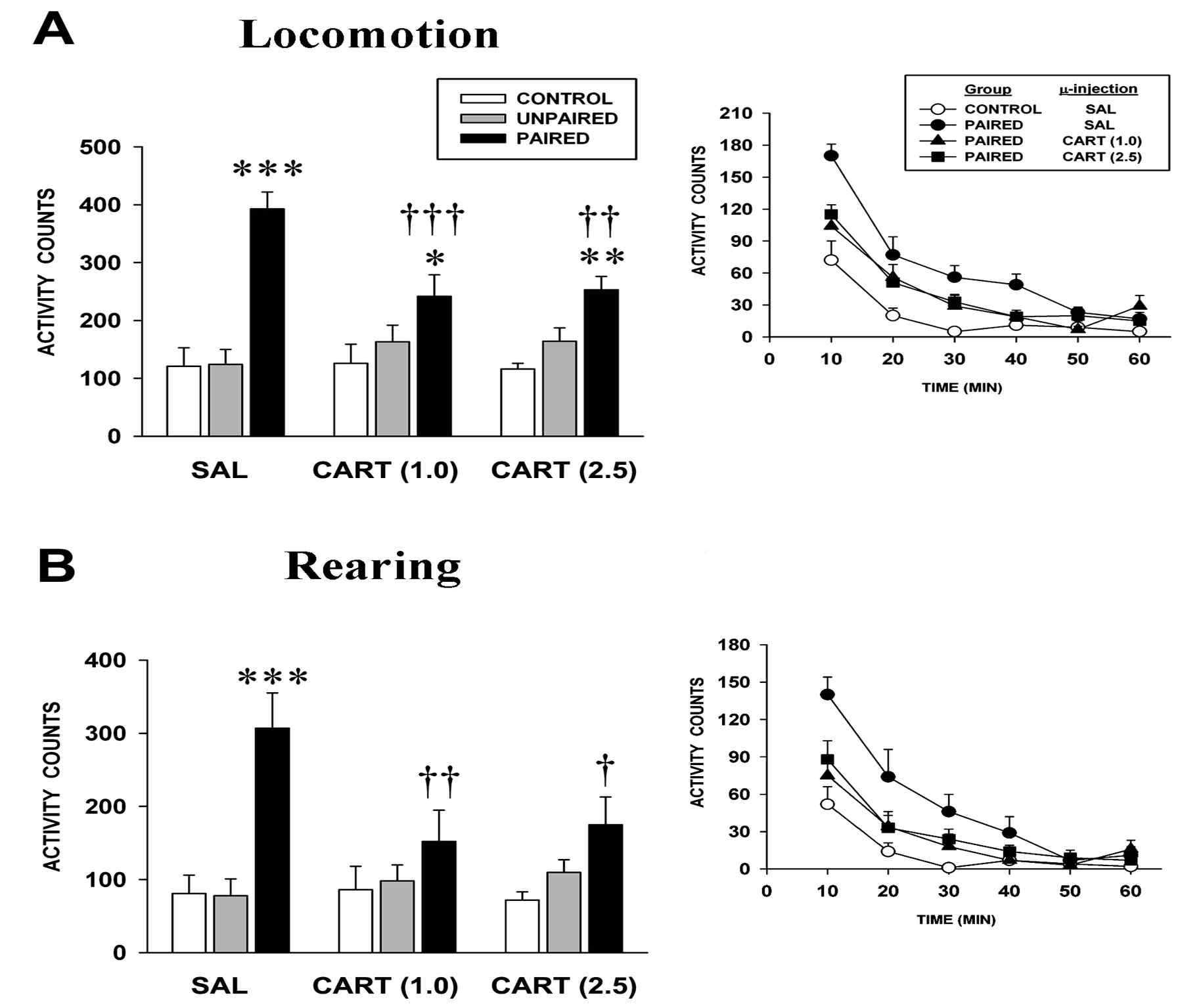 Microinjection into the NAcc of CART 55-102 inhibits the expression of conditioned hyper-locomotor activity.