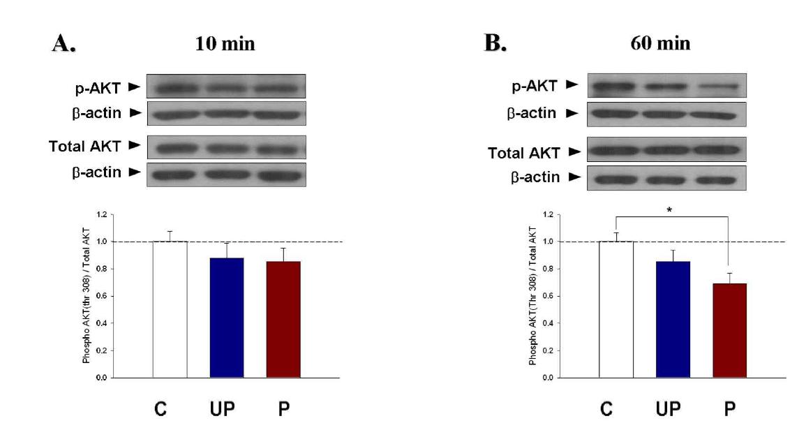 The phosphorylation levels of AKT were significantly decreased in only paired groups 60 min, but not 10 min, after test.