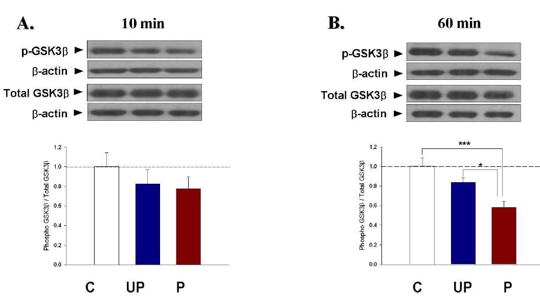 The phosphorylation levels of GSK were significantly decreased in only paired groups 60 min, but not 10 min, after test.