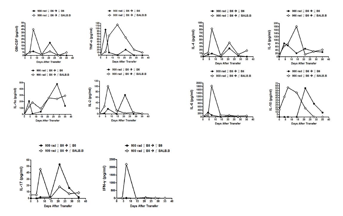 B6-> BALB.B GVHD 모델의 혈청에서 시간대별 사이토카인의 변화