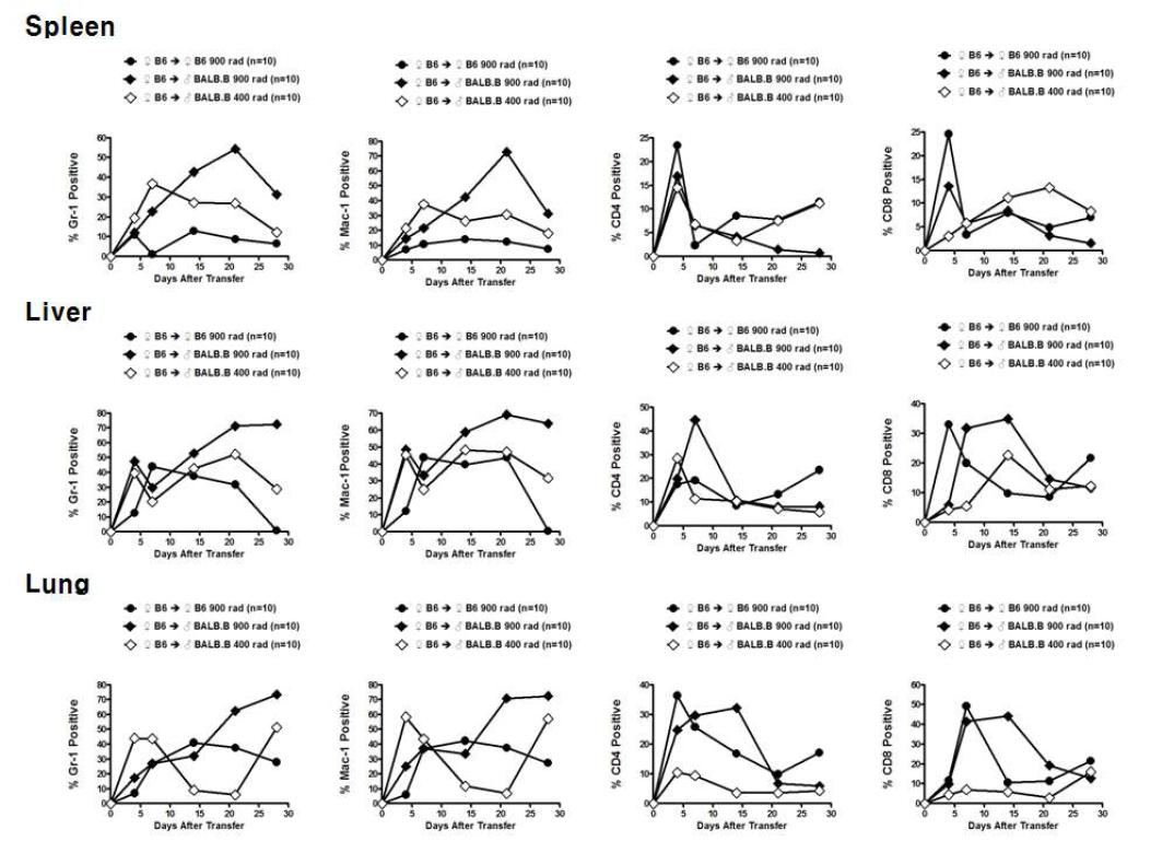 B6-> BALB.B GVHD 모델의 여러 장기 내의 세포 구획 분석