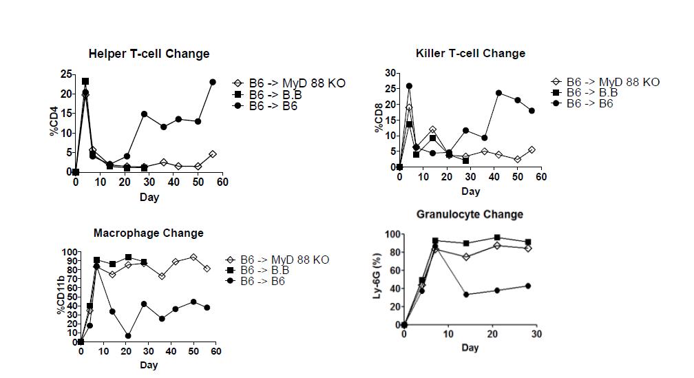 B6-> MyD88KO-BALB.B GVHD에서 말초혈액내 세포 분획 변화