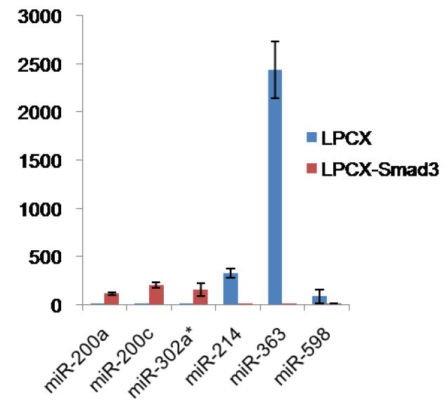 microRNA qRT-PCR 결과.