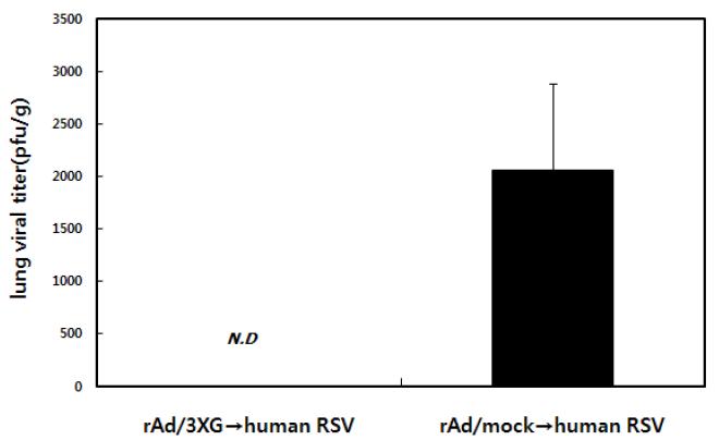 재조합아데노바이러스 기반의 RSV 백신인 rAd/3xG에 의 해 유도된 방어면역의 교차방어 효과