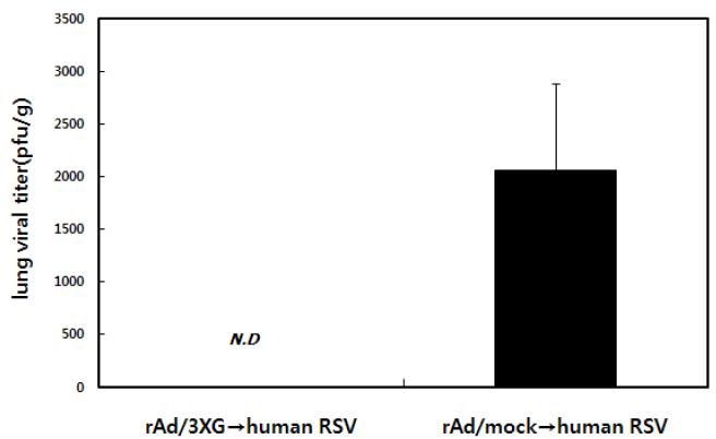 재조합아데노바이러스 기반의 RSV 백신인 rAd/3xG에 의해 유도된 방어면역의 교차방어 효과
