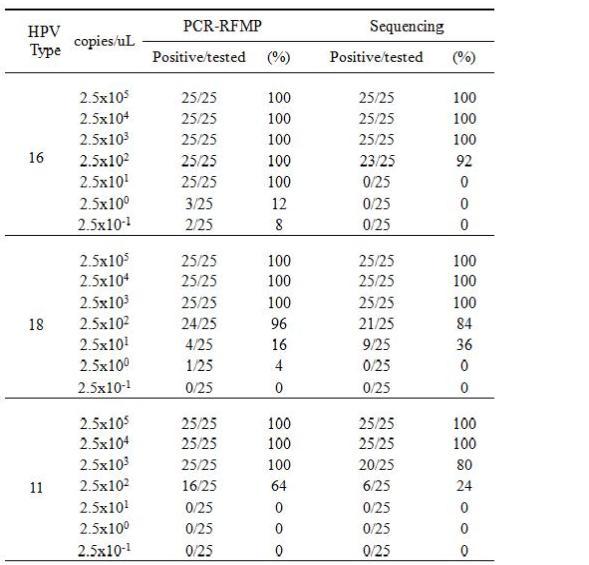 Positive rate of each concentration of HPV DNA by PCR-RFMP and sequencing