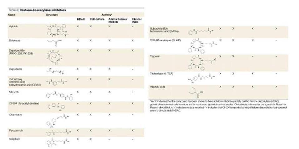 암치료 목적으로 개발되고 있는 다양한 HDAC Inhihitor