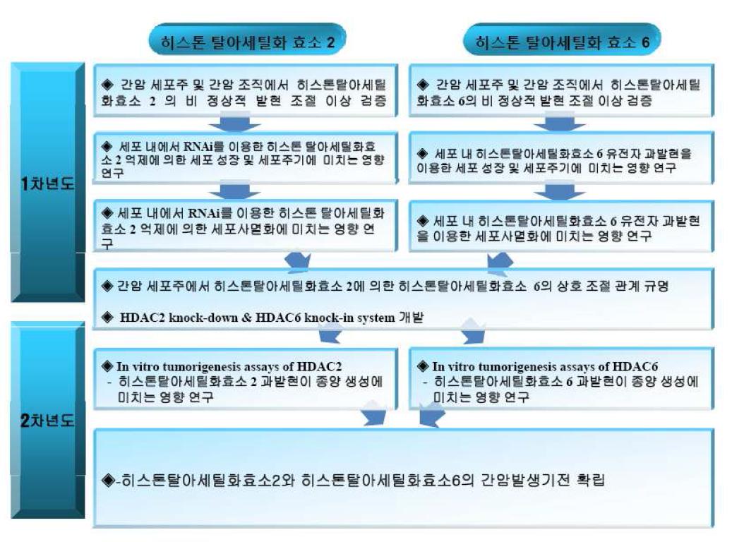 연구 추진 체계