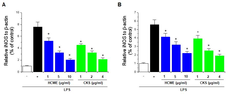 Effects of HCWE and CKS on iNOS gene expression.