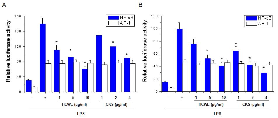 Effects of HCWE and CKS on NF-κB and AP-1 promoter activity.