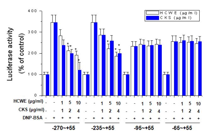 Effects of HCWE and CKS on IL-4-dependent luciferase gene expression in RBL-2H3 cells.