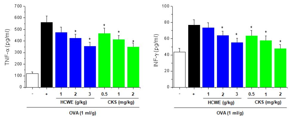 Effect of HCWE and CKS on TNF-α and INF-γ level in BAL fluid of sensitized and challengedmice.