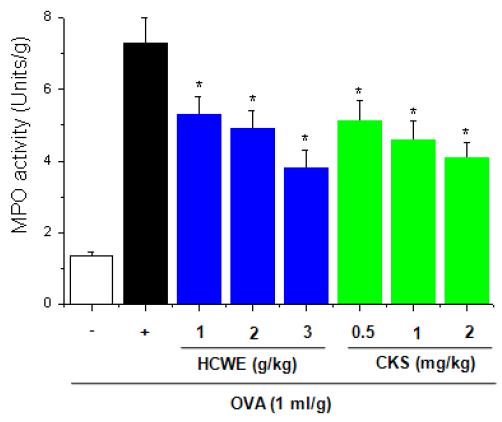 Effect of HCWE and CKS on MPO activity in lung of sensitized and challenged mice.