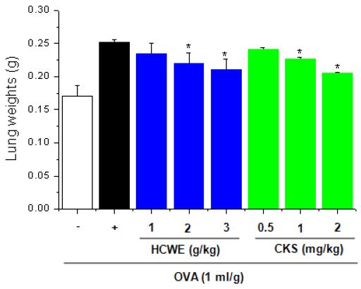 Effect of HCWE and CKS on OVA-induced lung weight of sensitized and challenged mice.