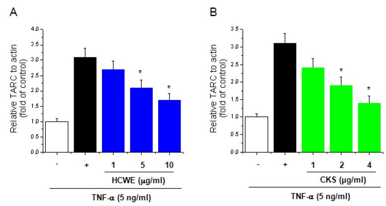 Effect of HCWE and CKS on TARC gene expression in HaCaT cells.