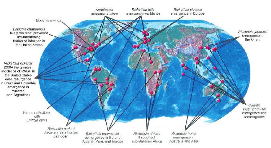 The most important neglected emerging infectious diseases and bioterror threats around the world.