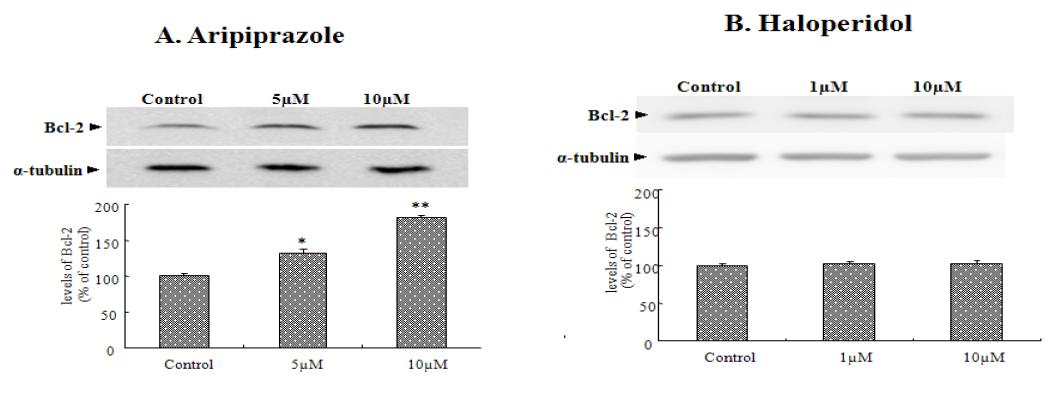 The effects of aripiprazole and haloperidol on the Bcl-2 levels in SH-SY5Y cells.