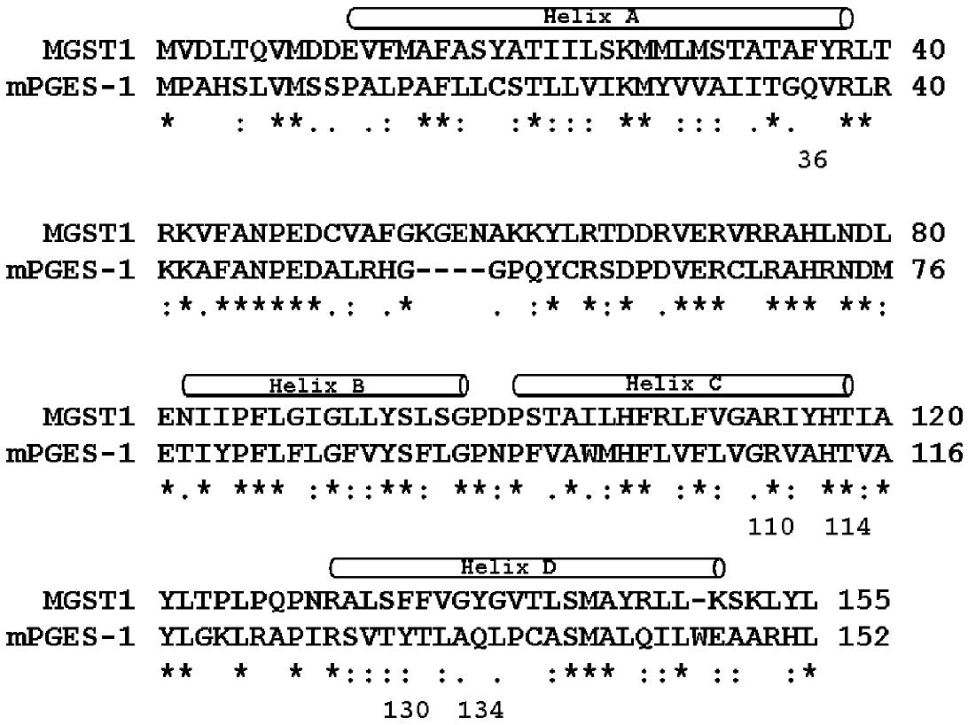 MGST1 과 mPGES-1의 염기서열 비교.