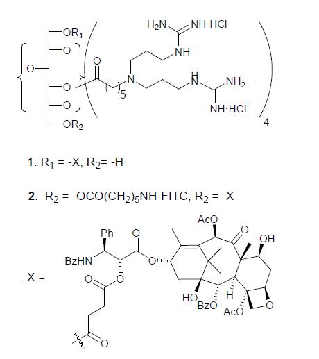 Paclitaxel-carrier conjugate