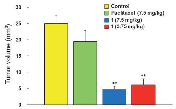 Therapeutic effects of paclitaxel-carrier conjugate (by po) on tumors in the mouse brain