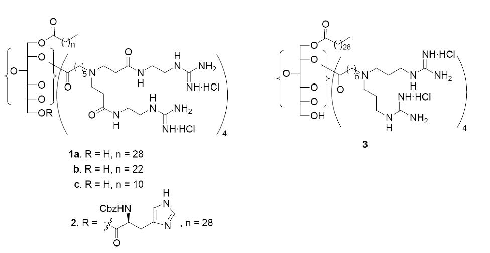 Lipidated sorbitol-based molecular transporters