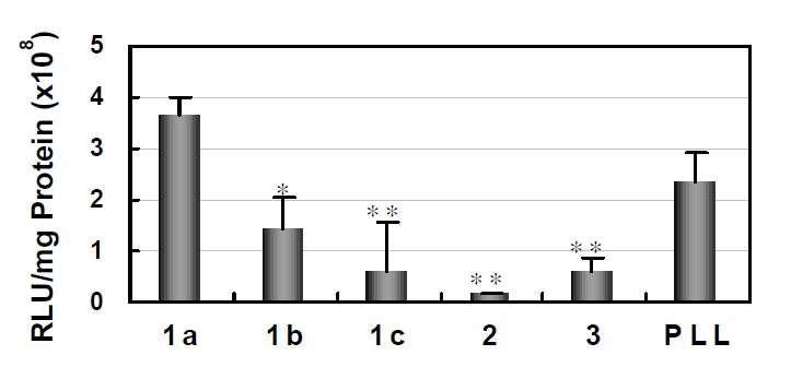 Transfection activities of different MEND prepared using differentDNA cores.