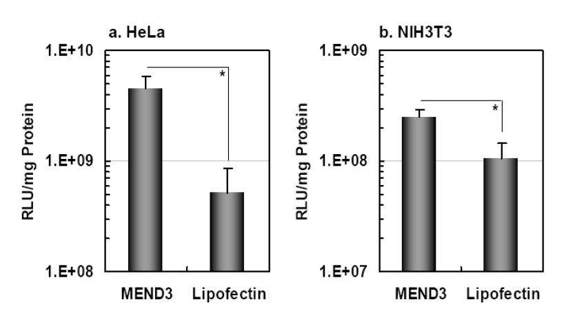 Comparing transfection activities of different MEND3 Lipofectin.