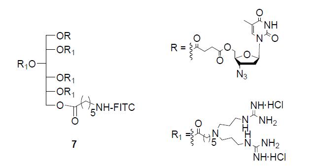 AZT conjugated sorbitol-based molecular transporter