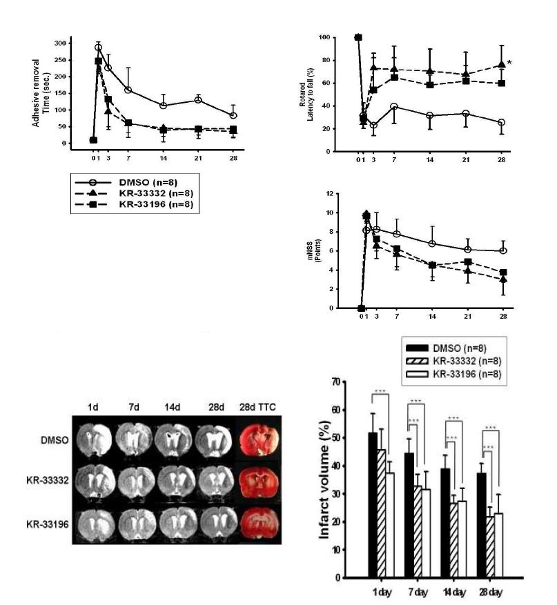 Rat MCAo 모델에서의 KR-33196과 KR-33332 화합물의 보호 비교