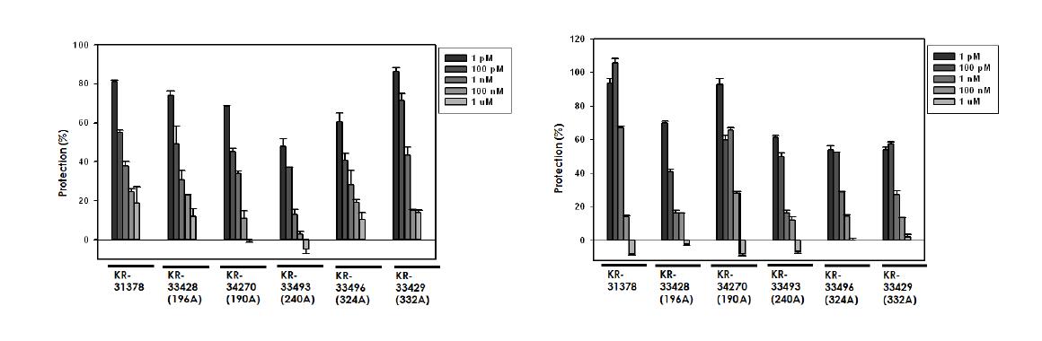 Lead 화합물 acid form들의 cardiac myocyates cell lines (H9c2) 와human neuronal cell lines (SH-SY5Y) 에서의 허혈성 세포사 보호농도