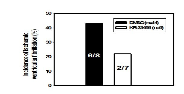Cat ischemic arrhythmias 모델에서의 KR-33429의 부정맥 보호효과