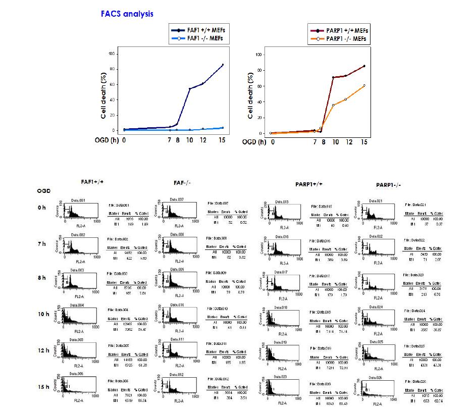 044 FAF1-/- iMEF cells의 허혈성 (OGD) 세포사 보호효과 (FACS분석)