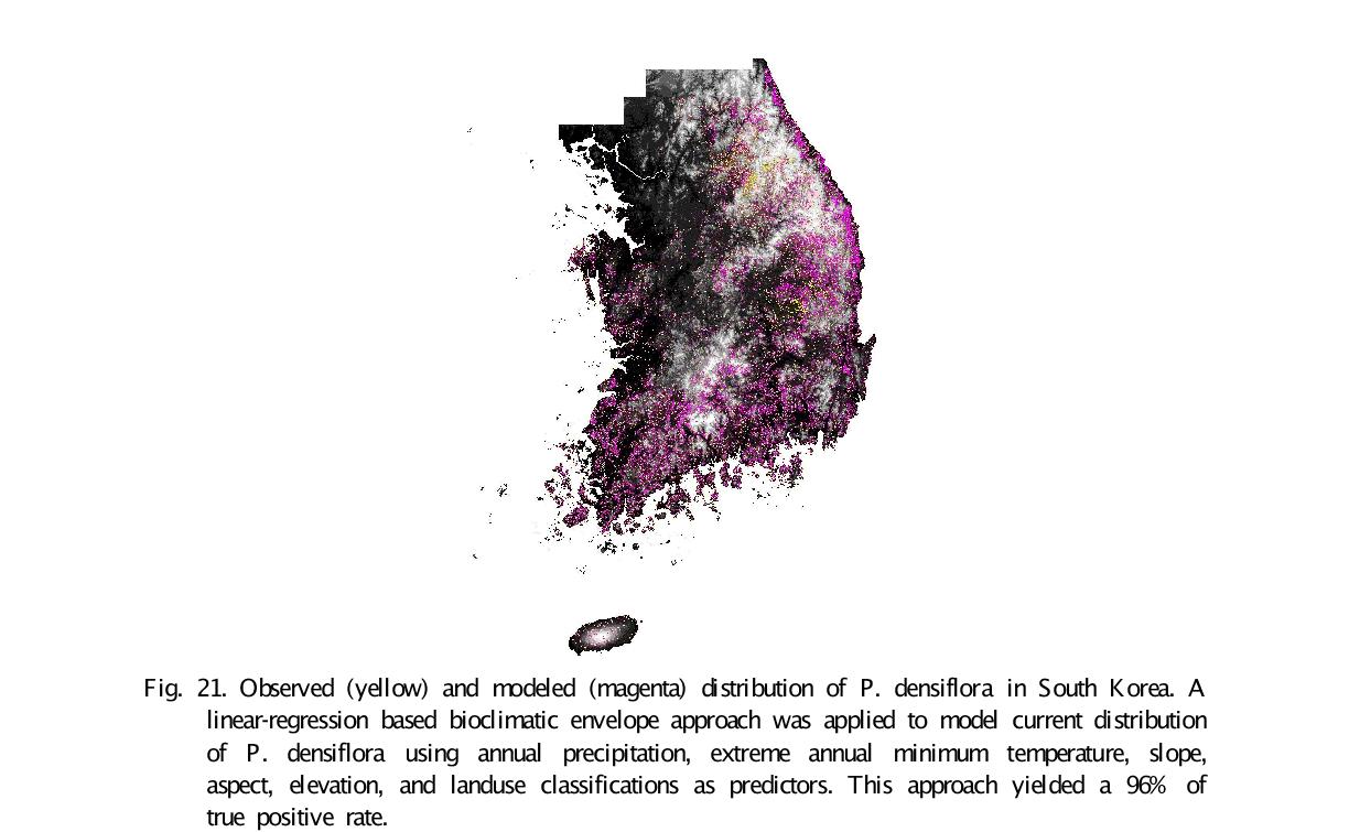 Observed (yellow) and modeled (magenta) distribution of P. densiflora in South Korea. A