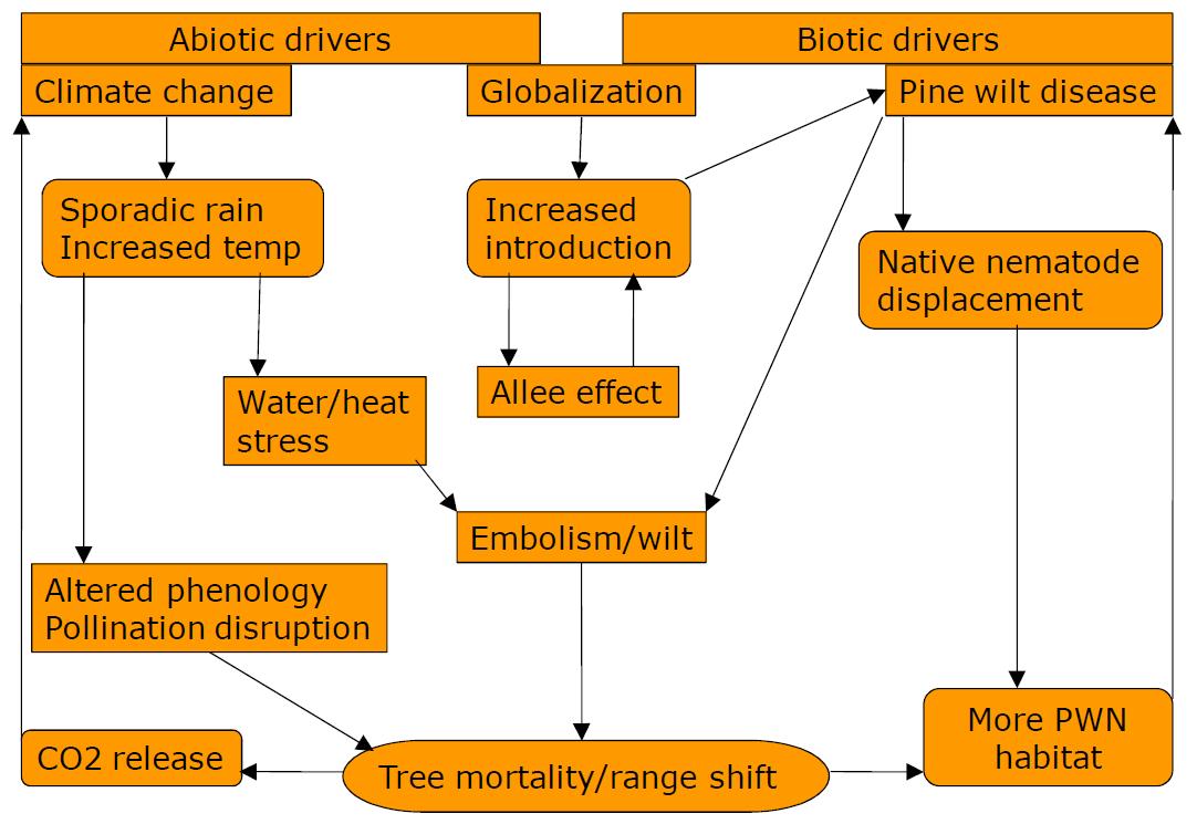 A schematic illustration of the modeling framework to evaluate feedback and interconnection of climate change, globalization, PWD and tree mortality or range shift in pines.