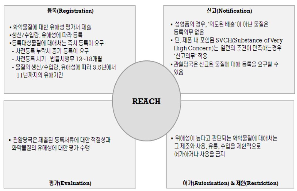 단계별 REACH 대응 업무 절차