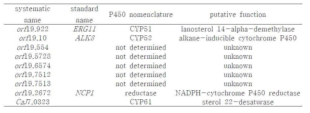 Candida albicans 균주내에 존재하는 P450 genes