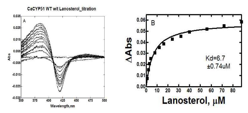 A. CaCYP51과 lanosterol과의 binding titration. B. The plot of Δ421-380nm versus concentration of lanosterol.