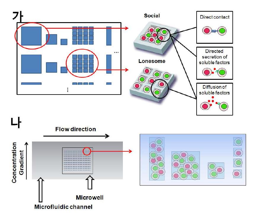 Microwell 및 microfluidic chanel 디자인