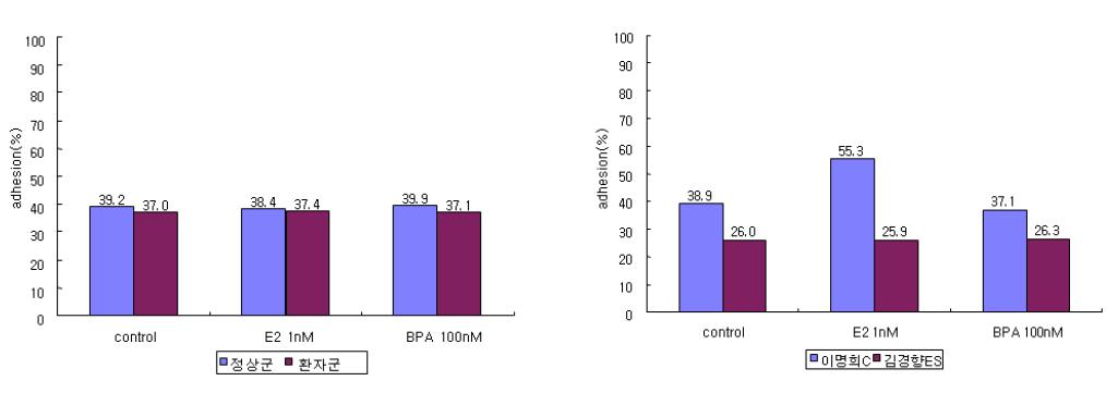 자궁내막증 세포에 bisphenol 및 estrogen 처리에 의해 adhesion에 미치는 영향