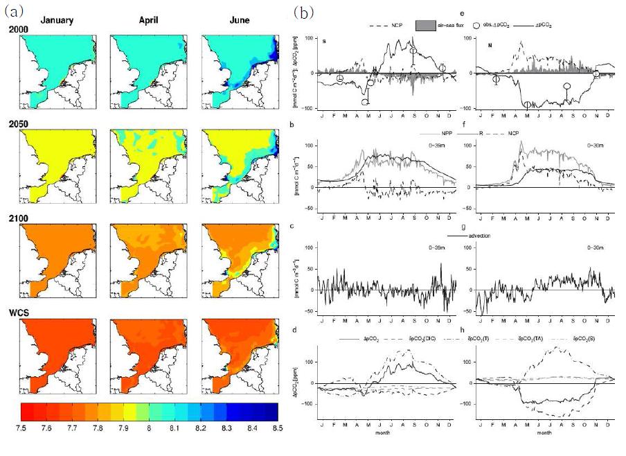 North Sea에서 (a) 기후시나리오에 따른 pH 변화 묘사(b) 북쪽과 남쪽해역에서 주요 영향인자 평가